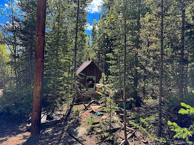 3257 Trail Creek Road, Idaho Springs, CO 80452