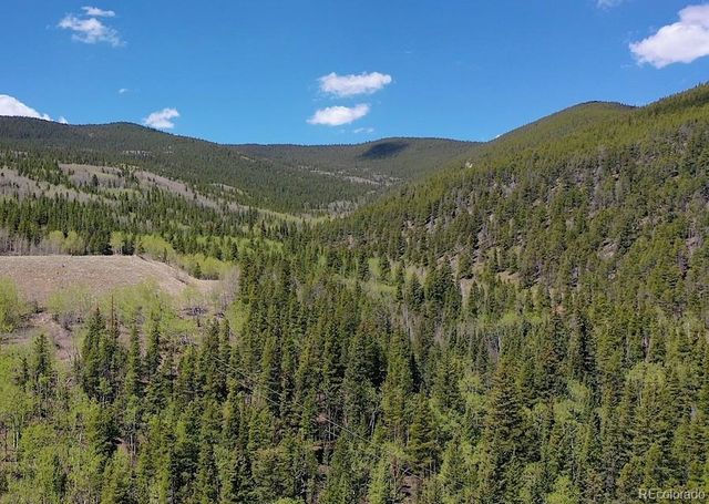 3257 Trail Creek Road, Idaho Springs, CO 80452