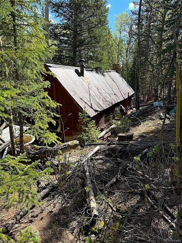 3257 Trail Creek Road, Idaho Springs, CO 80452
