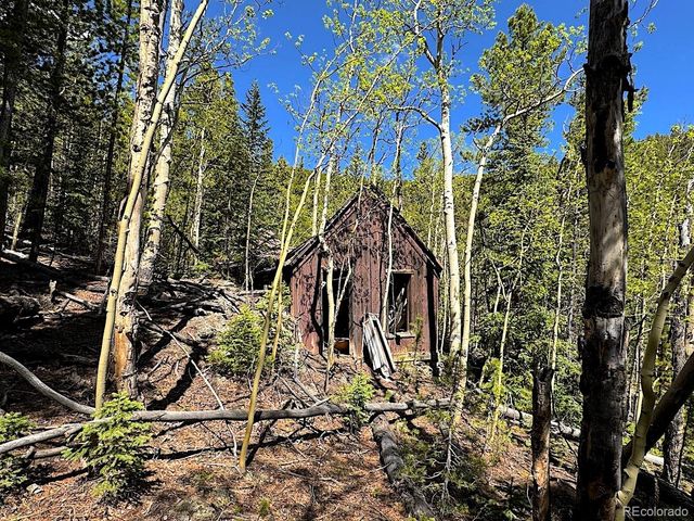 3257 Trail Creek Road, Idaho Springs, CO 80452