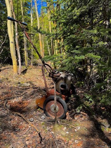 3257 Trail Creek Road, Idaho Springs, CO 80452