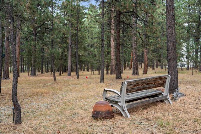 20175 Wissler Ranch Road, Colorado Springs, CO 80908