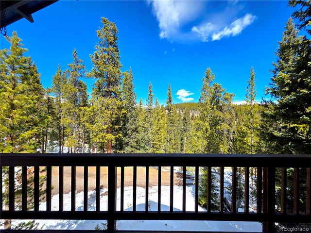 211 Pine Ridge Road, Alma, CO 80420