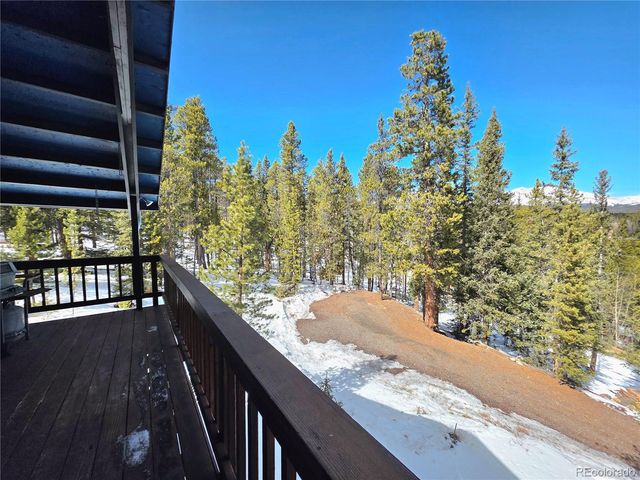 211 Pine Ridge Road, Alma, CO 80420