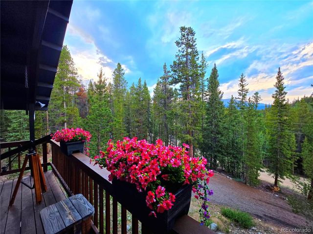 211 Pine Ridge Road, Alma, CO 80420