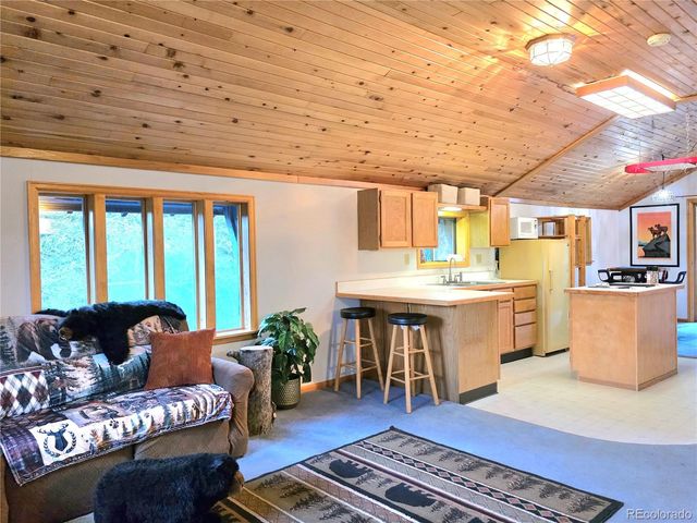 211 Pine Ridge Road, Alma, CO 80420