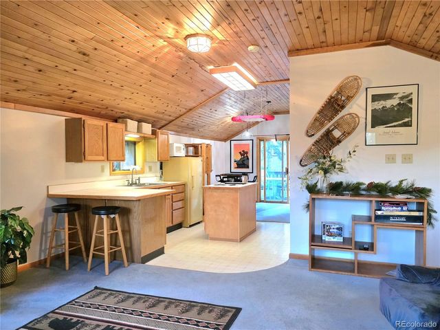 211 Pine Ridge Road, Alma, CO 80420