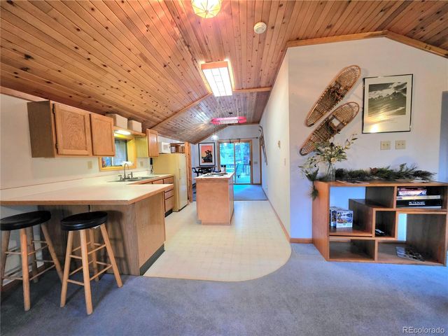 211 Pine Ridge Road, Alma, CO 80420