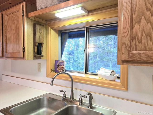 211 Pine Ridge Road, Alma, CO 80420