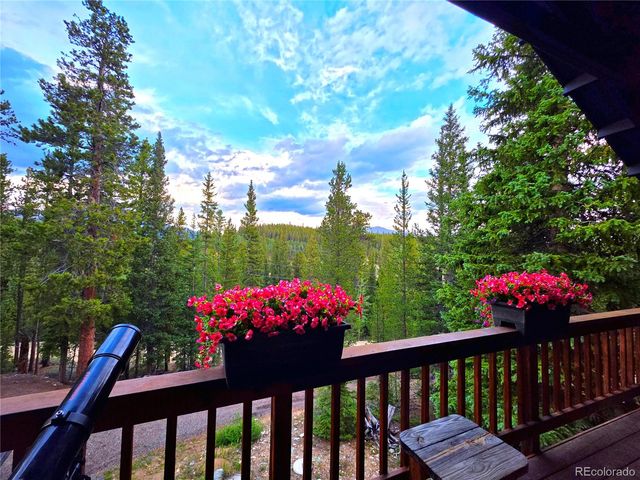 211 Pine Ridge Road, Alma, CO 80420