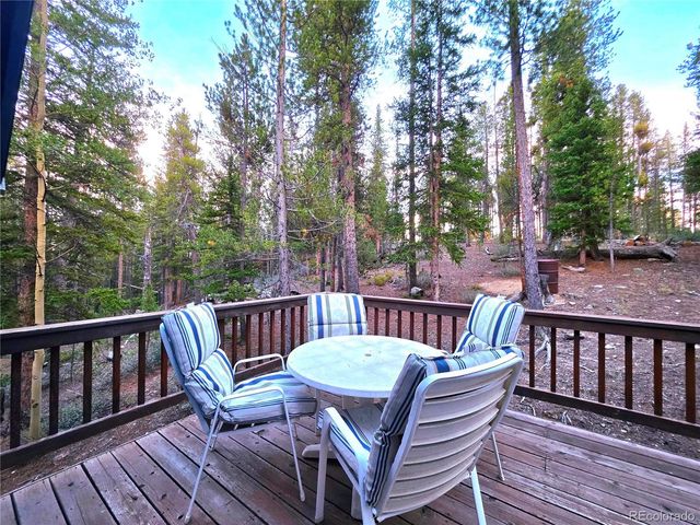 211 Pine Ridge Road, Alma, CO 80420