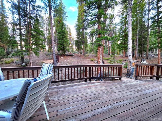 211 Pine Ridge Road, Alma, CO 80420