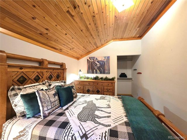 211 Pine Ridge Road, Alma, CO 80420