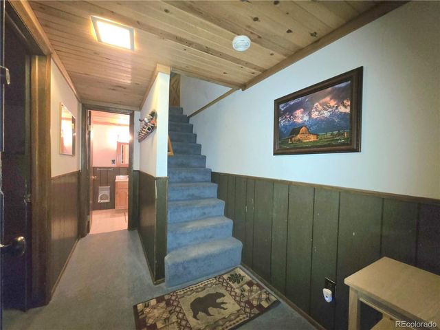 211 Pine Ridge Road, Alma, CO 80420