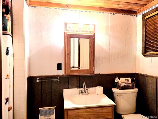 211 Pine Ridge Road, Alma, CO 80420