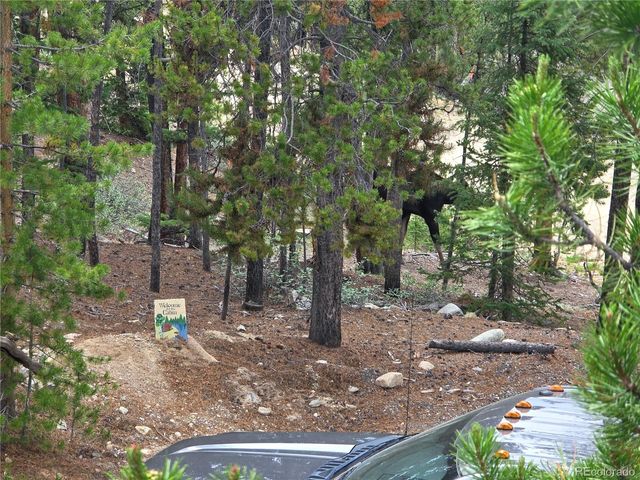 211 Pine Ridge Road, Alma, CO 80420