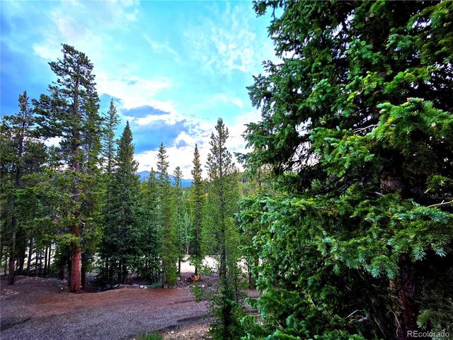 211 Pine Ridge Road, Alma, CO 80420