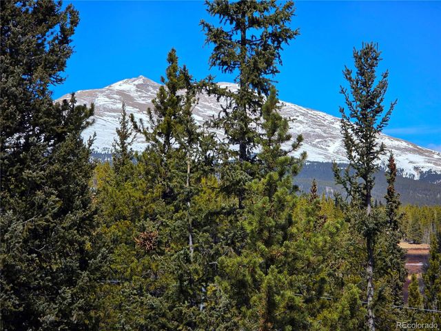 211 Pine Ridge Road, Alma, CO 80420