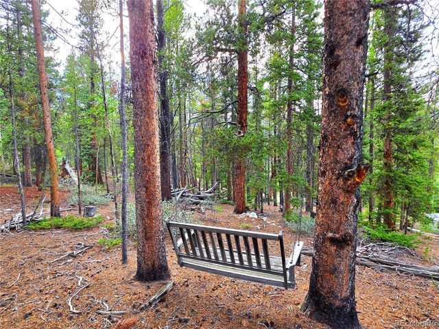 211 Pine Ridge Road, Alma, CO 80420
