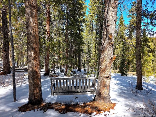 211 Pine Ridge Road, Alma, CO 80420