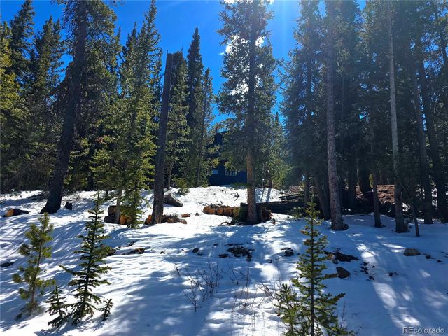 211 Pine Ridge Road, Alma, CO 80420