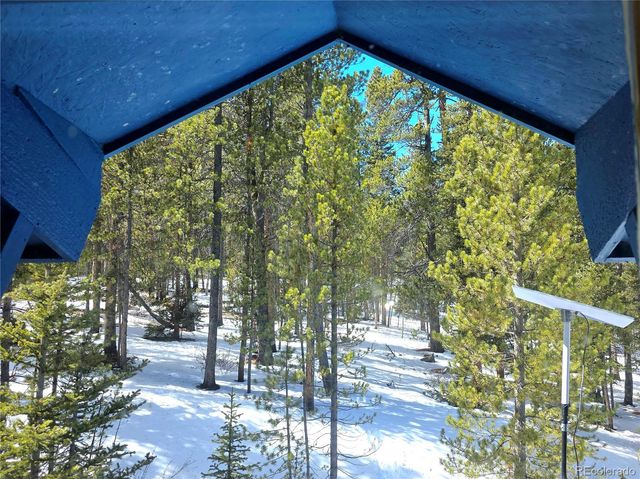 211 Pine Ridge Road, Alma, CO 80420