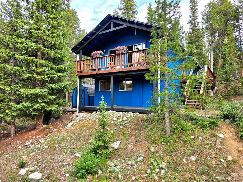 211 Pine Ridge Road, Alma, CO 80420