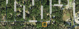 xx Pam Drive, Crawfordville, FL 32327