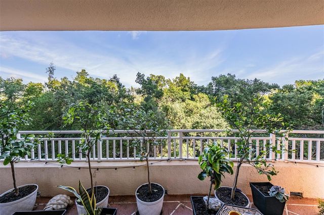 12033 GANDY BOULEVARD N 135, St Petersburg, FL 33702