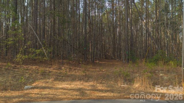 4196 South View Boulevard, Morganton, NC 28655