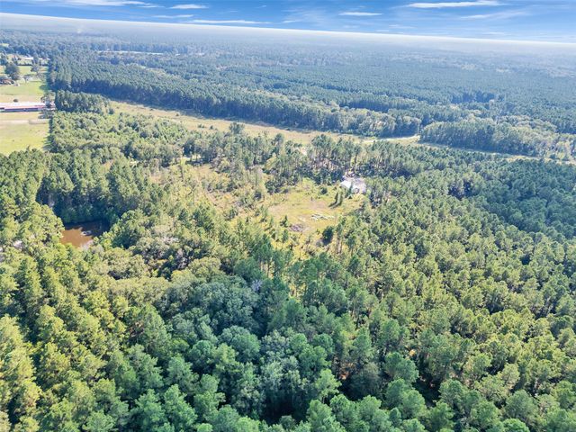 211 Thomas Windt Road, Shepherd, TX 77371