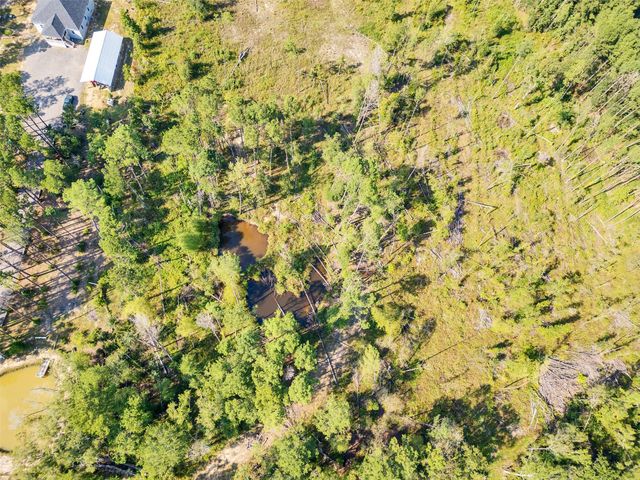 211 Thomas Windt Road, Shepherd, TX 77371