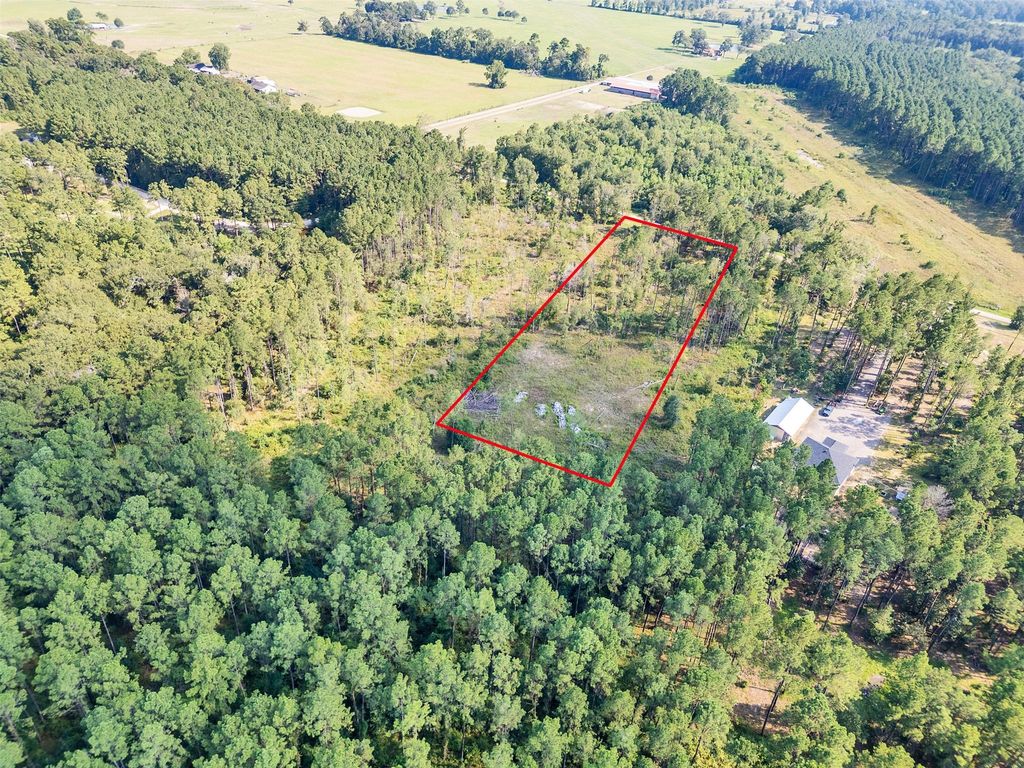 211 Thomas Windt Road, Shepherd, TX 77371