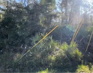 1645 11TH AVENUE, Deland, FL 32724