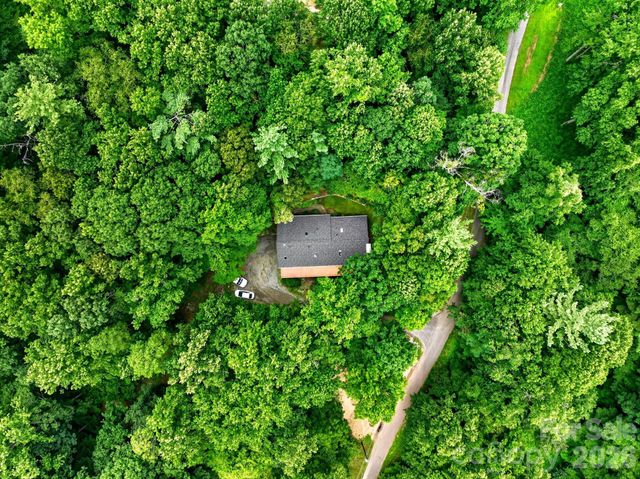 12 Beech Tree Lane, Asheville, NC 28804