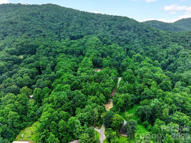 12 Beech Tree Lane, Asheville, NC 28804