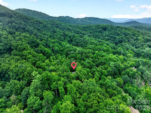 12 Beech Tree Lane, Asheville, NC 28804
