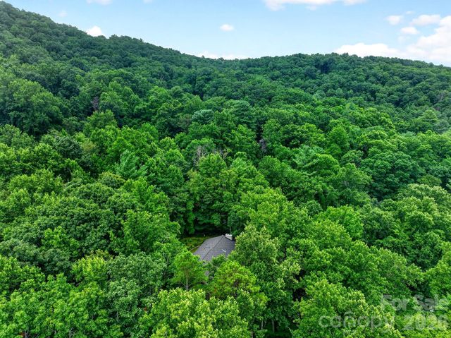 12 Beech Tree Lane, Asheville, NC 28804