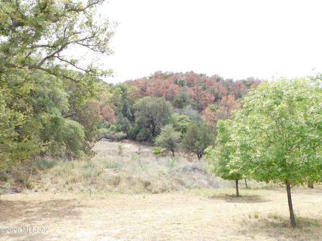 1697 Tombstone Canyon, Bisbee, AZ 85603
