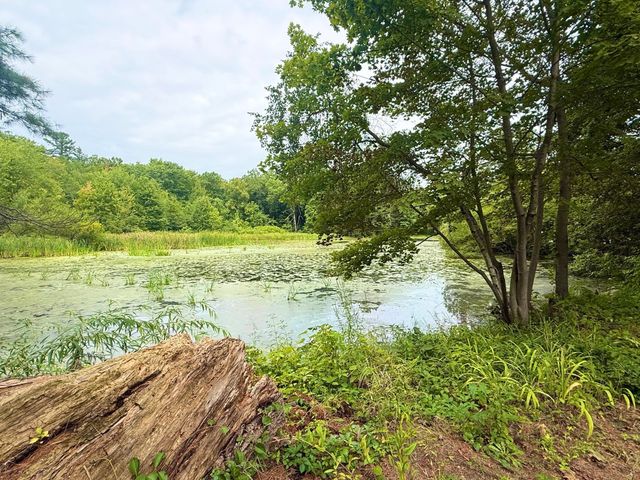 26 Nelson Pl, Worcester, MA 01605