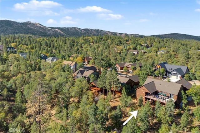 1658 Tuolumne Road, Big Bear City, CA 92314
