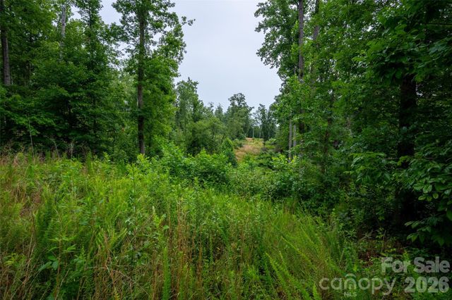 443 Polk County Line Road, Rutherfordton, NC 28139