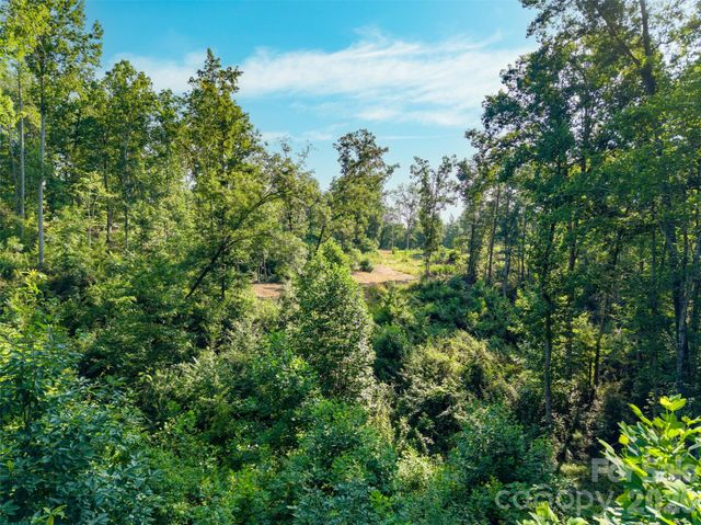 443 Polk County Line Road, Rutherfordton, NC 28139