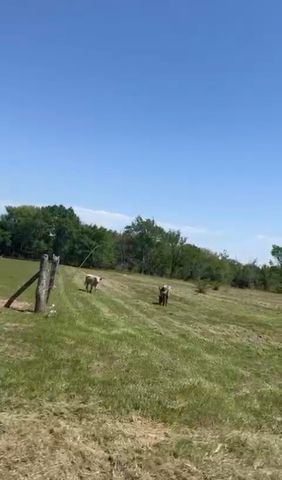 869 County Road 3908, Wills Point, TX 75169