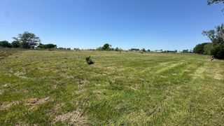 869 County Road 3908, Wills Point, TX 75169