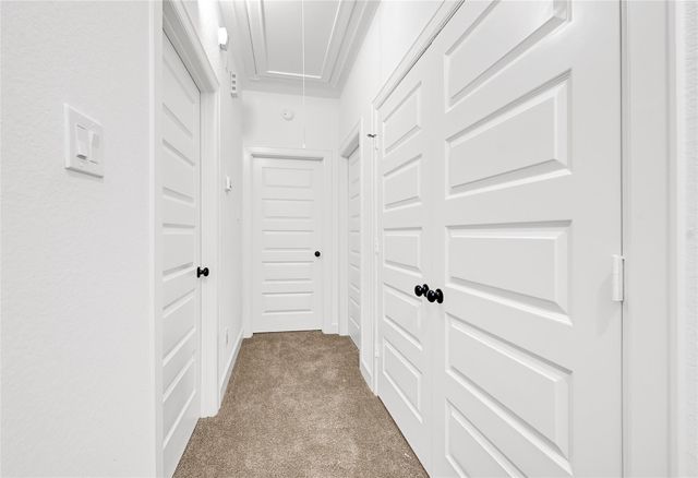 5007 Elizabeth Street, Houston, TX 77021