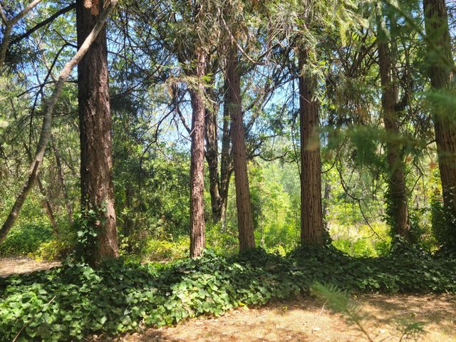 7618 Monument Drive, Grants Pass, OR 97526