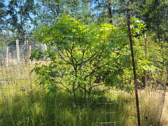 7618 Monument Drive, Grants Pass, OR 97526