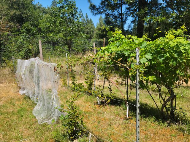7618 Monument Drive, Grants Pass, OR 97526