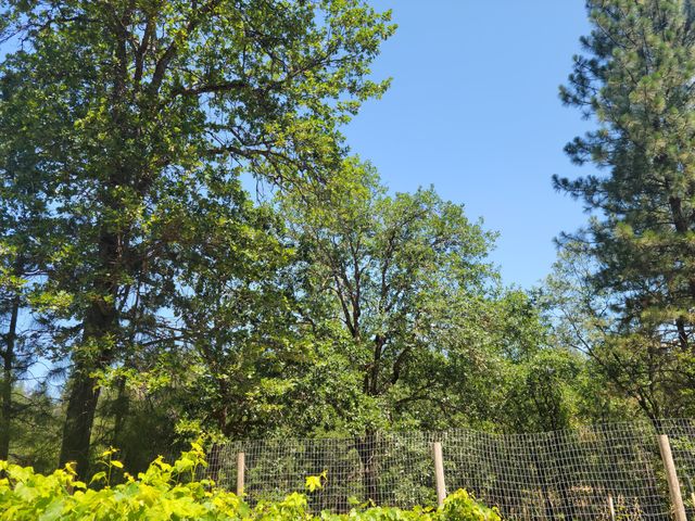 7618 Monument Drive, Grants Pass, OR 97526